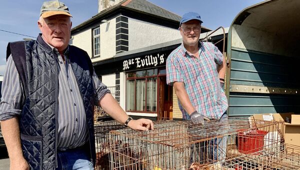 Tom Fitzgerald and Michael Brennan admiring some Rhode Island Red hens and pullets at the Killawalla Fair. Picture by Tom Quinn Tom Fitzgerald and Michael Brennan admiring some Rhode Island Red hens and pullets at the Killawalla Fair. Picture by Tom Quinn