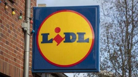 Paralympian who was asked to move her guide dog away from food in Lidl awarded €2k