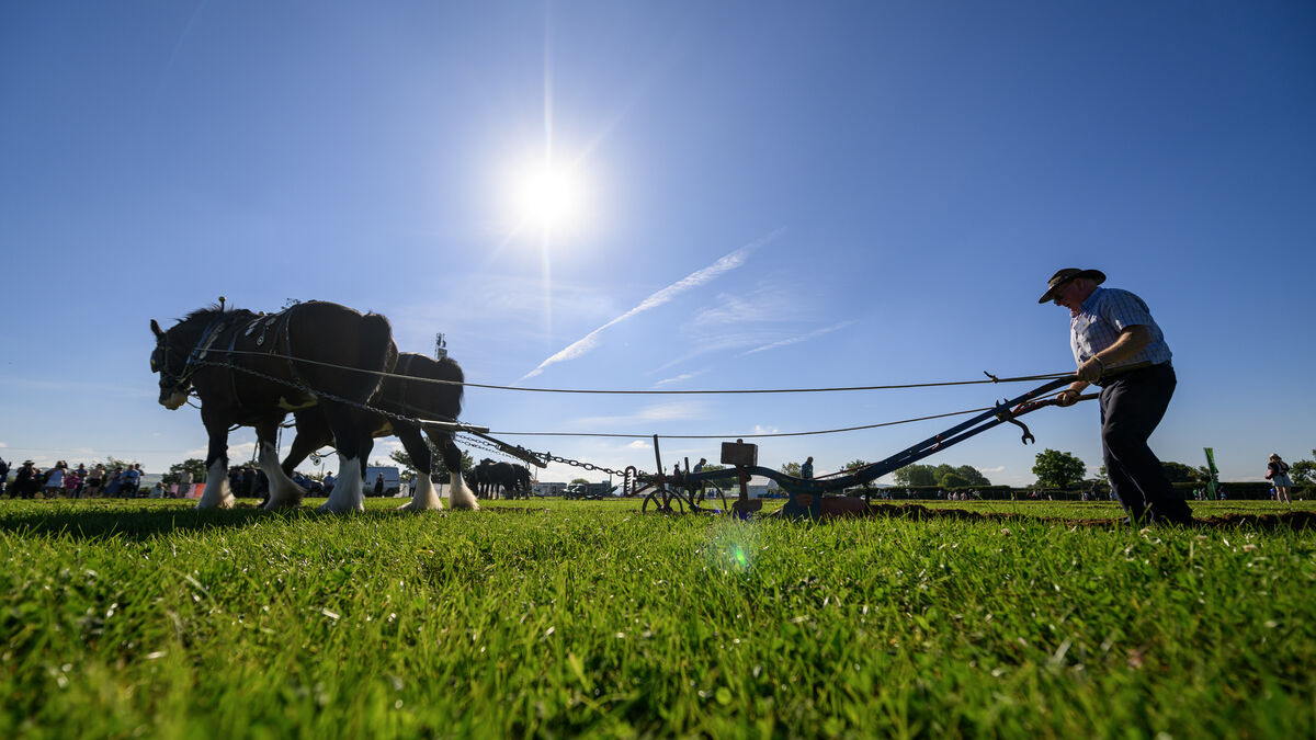 Farming lobby needs to stop the poor mouth