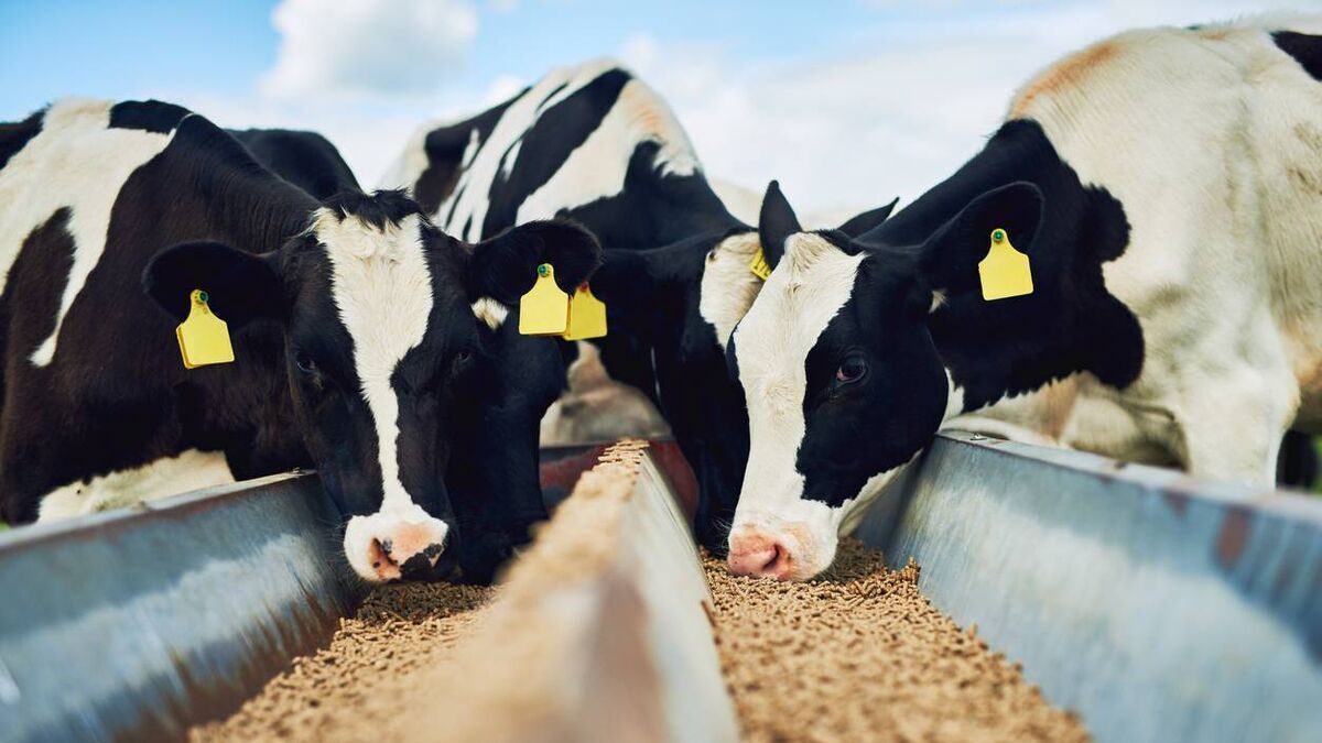 Farming: Key deadlines this autumn