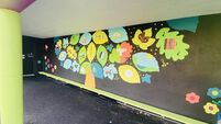 Mayo national school unveils eye-catching mural