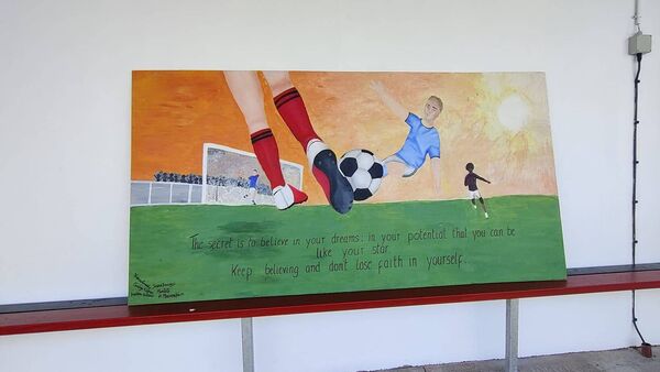 Eye-catching murals unveiled at Mayo sports club
