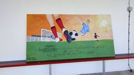 Eye-catching murals unveiled at Mayo sports club