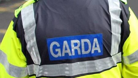 Pedestrian killed in Mayo road crash