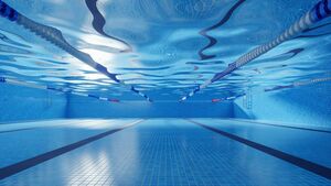 Councillor and Director clash over plans for pool project Councillor and Director clash over plans for pool project