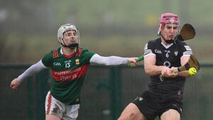Mayo players named among top hurlers in prestigious lineup Mayo players named among top hurlers in prestigious lineup