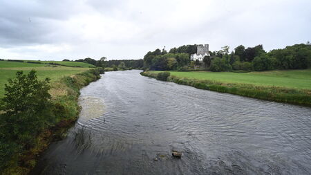 Mayo scientist co-authors landmark report