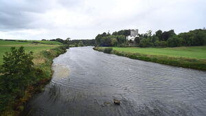 Mayo scientist co-authors landmark report