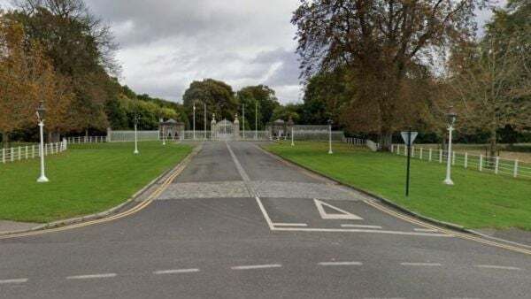 Man 'rammed’ gates of Áras an Uachtaráin this week causing €10,000 damage, court told