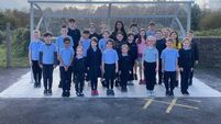 Mayo school shows how to build a value-for-money bike shed