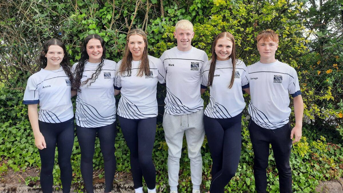 Dolphins take delight in a summer of great success