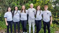 Dolphins take delight in a summer of great success