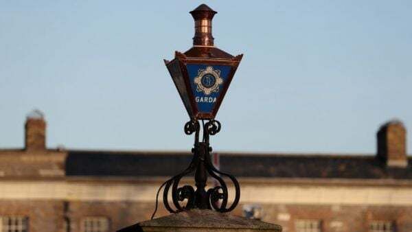 Woman arrested after assault and endangerment incident in Kildare
