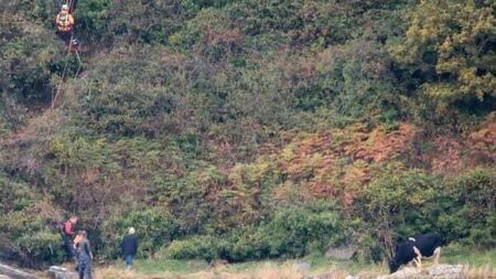 Irish Coast Guard rescues stranded cow on Donegal shores