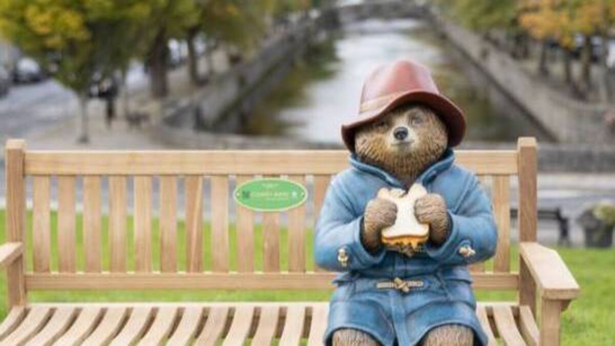Where to find the Mayo Paddington Bear statue