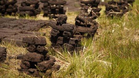 Turf cutters' appeal over law prosecuting them dismissed by Supreme Court