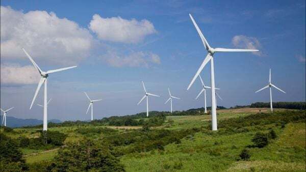 Renewables firm asks court to declare State has 'failed' to approve enough green energy projects