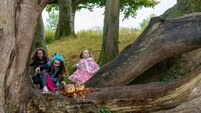 Turlough Museum has lots for children this Halloween