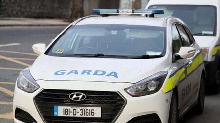 Gardaí search properties in Ireland and Spain as part of crackdown on Hutch gang