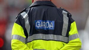 Former US Embassy employee sues gardaí for alleged wrongful seizure of work van
