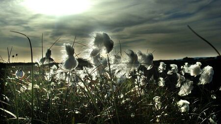 Mayo project is the largest of its kind in the country