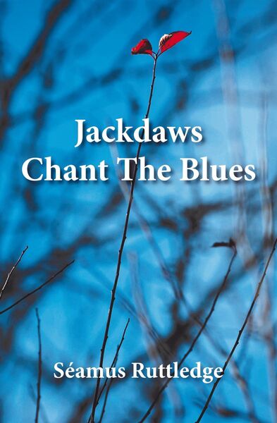 The cover of the new book of poetry from North Mayo native Séamus Ruttledge.