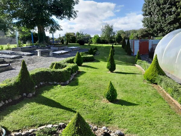 The impressive Community Garden in Charlestown. The impressive Community Garden in Charlestown.