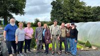 Local Notes: Community Garden a huge success in Charlestown