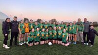 Shamrocks girls celebrate sweet county success 