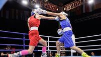 Mayo boxers win world medals in Montenegro