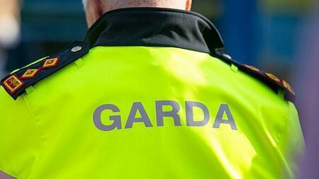 High Court halts further inquiry into Garda removing bluetooth speaker from seized vehicle