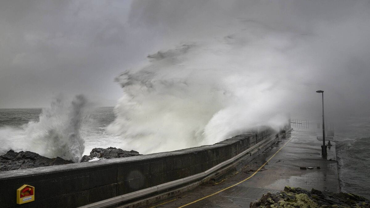 New study reveals Mayo attitudes to climate change