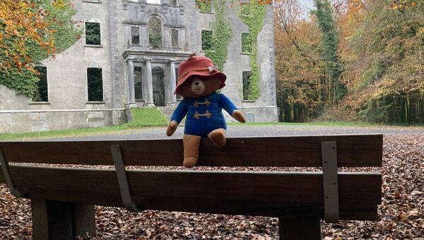 Paddington Bear relaxing after a stroll in the woods in beautiful scenic Moorehall. Picture by Tom Quinn Paddington Bear relaxing after a stroll in the woods in beautiful scenic Moorehall. Picture by Tom Quinn