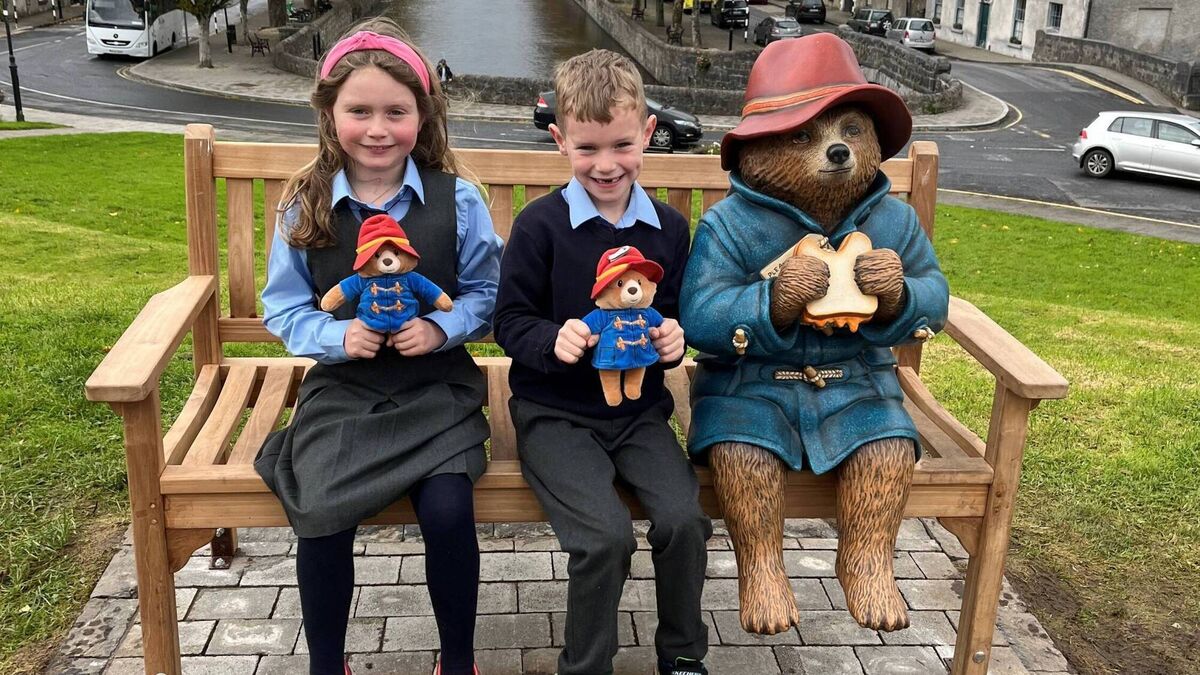 Council gives update on Paddington's future in Westport
