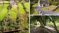 Property Watch: Scenic Mayo home on large site hits the market for under €300,000