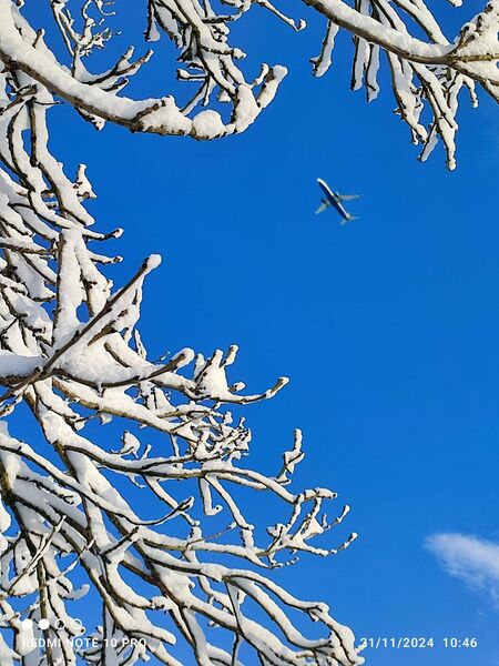 Stunning shot by Eileen Forry of a plane above Midfield, Swinford following the snowfall.