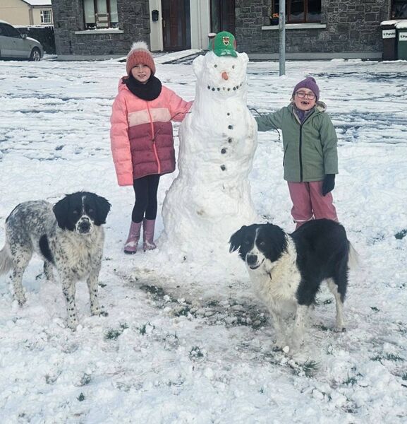 Chloe and Abigail, next door neighbours, built a snowman with the help of their two dogs Sally and Ted.
