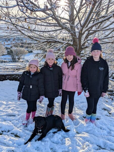 Snow day with all the cousins! left to right - Edie Rowland, Nell Rowland, Molly Kielty, Carrie Doherty and Lilly the dog. Cullonaughton, Foxford. Snow day with all the cousins! left to right - Edie Rowland, Nell Rowland, Molly Kielty, Carrie Doherty and Lilly the dog. Cullonaughton, Foxford.