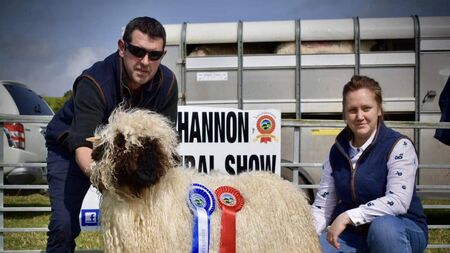 From the Swiss Alps to the Ox Mountains