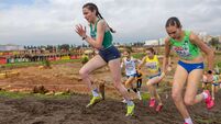 Hughes helps Irish team finish sixth in Europe 