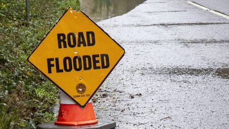 Substantial number of Council callouts prompts tree-cutting calls