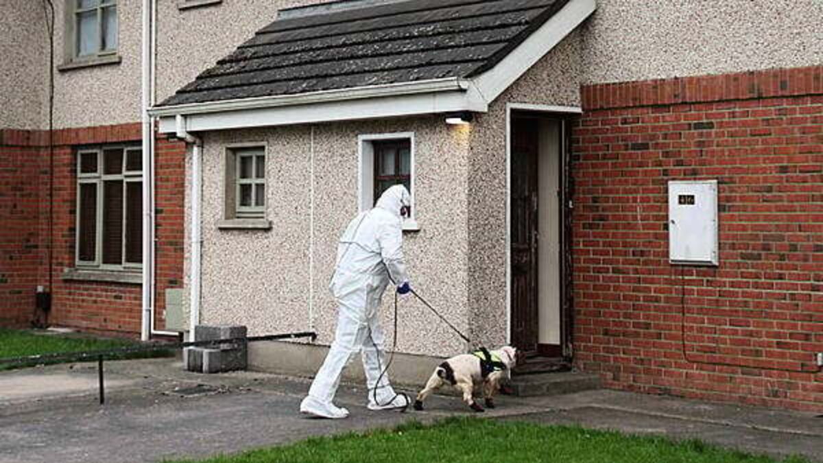 Kyran Durnin: Search to resume at Drogheda house after man held on suspicion of murder