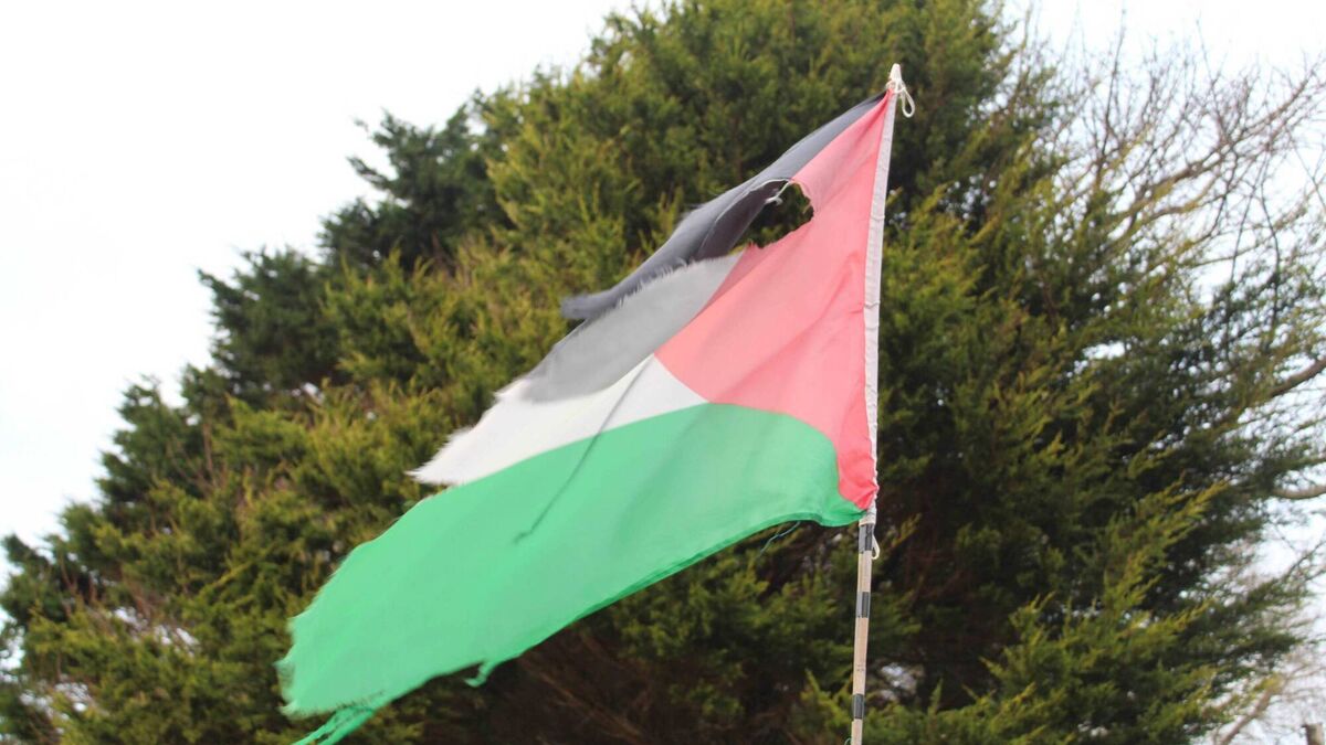 The battered flag and the Mayos abroad