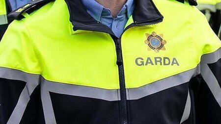 Several Garda applicants waiting on vetting have withdrawn as 2024 applicants are admitted