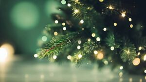 Christmas in Mayo: A few events to take in during the festive season