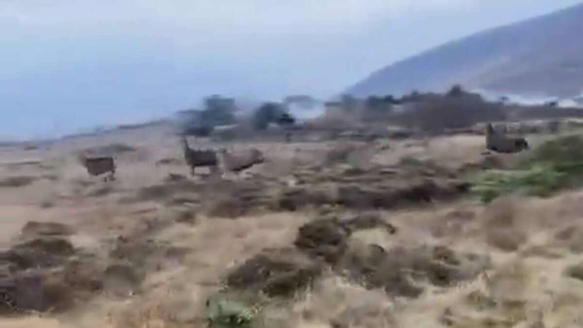 WATCH: Magical Christmas surprise spotted in Mayo ahead of the big day