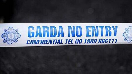 Improvised bombs found during Garda and Army searches in Limerick