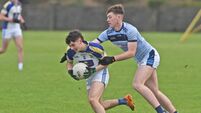 Simple tactics deliver stunning result for rising ‘Robe 