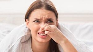 Foul smell forces Mayo residents to leave their home Foul smell forces Mayo residents to leave their home