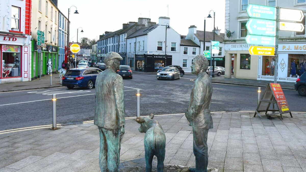 Auctioneers give insight into Mayo property market during past year